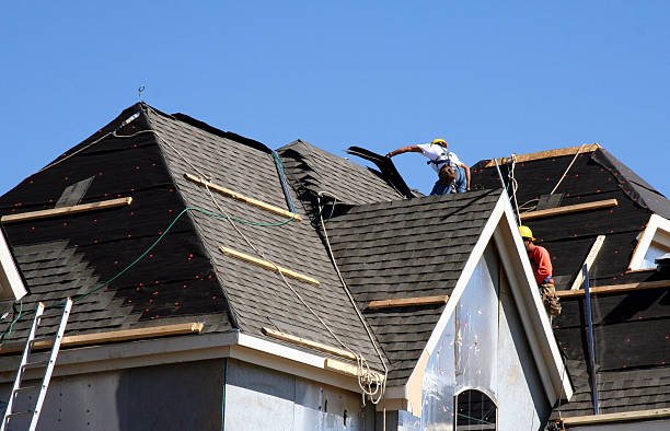 Best Metal Roofing Contractor  in Hayfield, MN