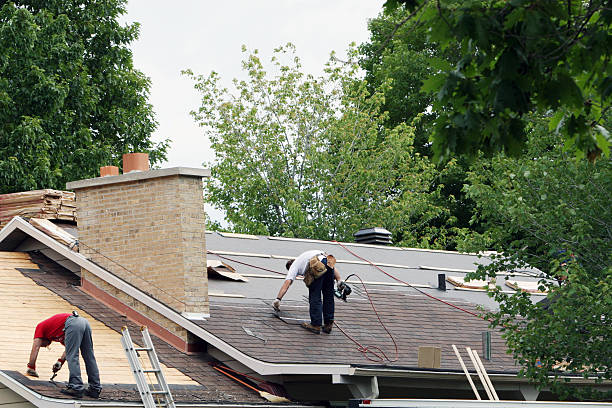 Quick and Trustworthy Emergency Roof Repair Services in Hayfield, MN