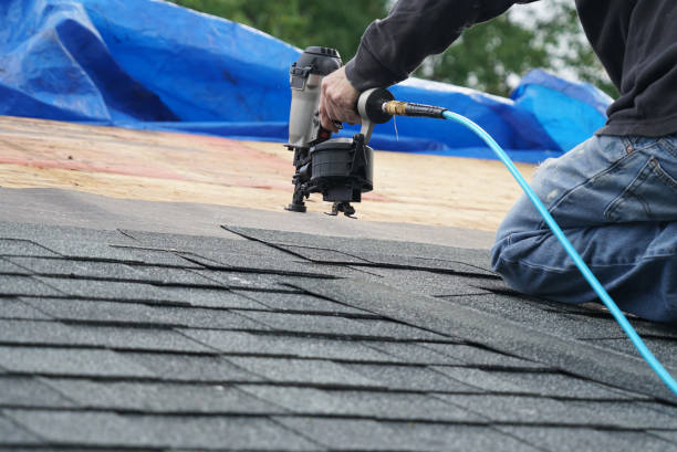 Best Commercial Roofing Services  in Hayfield, MN