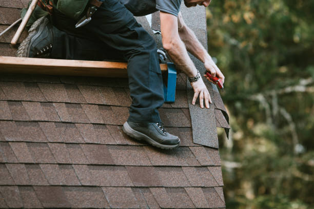 Best Storm Damage Roof Repair  in Hayfield, MN