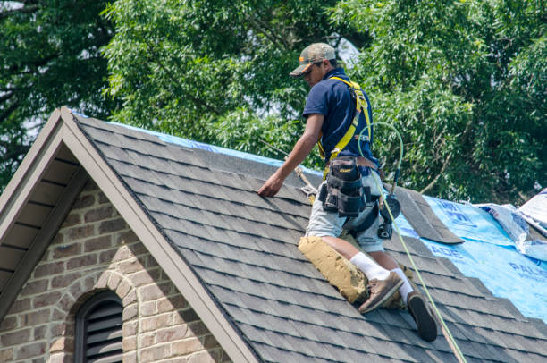 Best Storm Damage Roof Repair  in Hayfield, MN